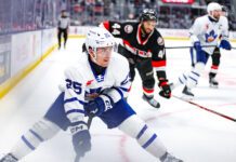 Vinny Borgesi, Marlies